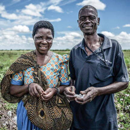 Reinhart's Responsibility