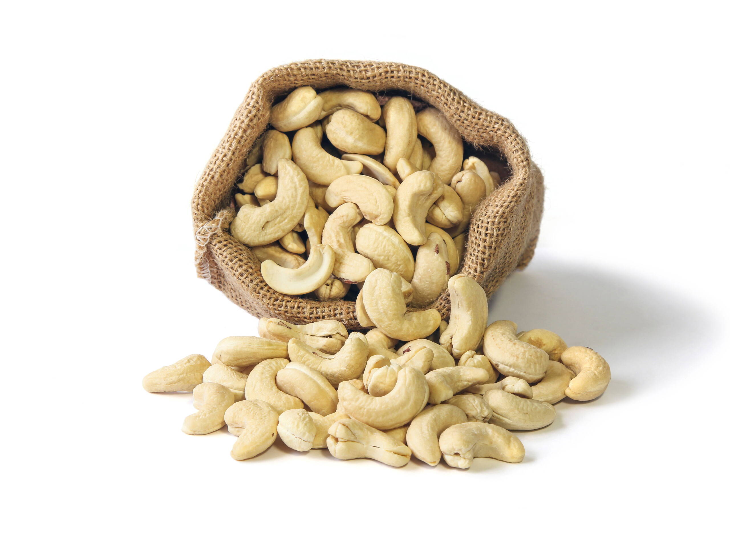 Edible Nuts Reinhart 1788